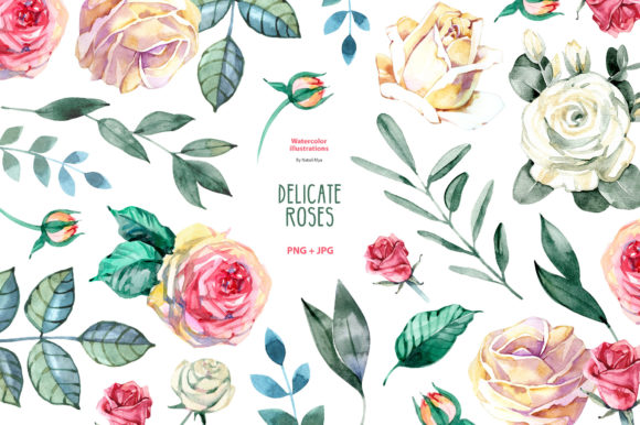 Download Watercolor Delicate Roses Cliparts - Delicate Collection